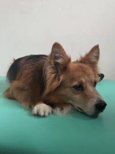 34C8B905-EA79-4025-BA7D-AB66040ABE0A