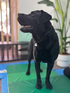 4e275eac-1852-45b4-9444-6f342aba77e8