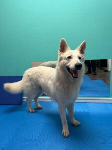 5f3acac8-4c51-4283-9d5e-5c946101fb89