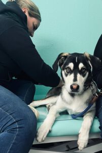 705c1f9d-648a-46ac-82f5-74a74b3da401