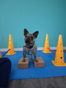 88a578a8-f0df-4e59-8e55-9bd59a594f00